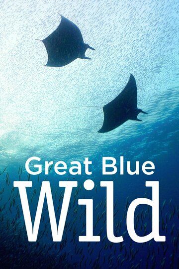 Great Blue Wild (2015)